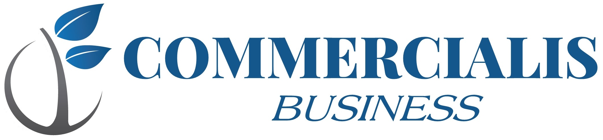 Logo COMMERCIALIS BUSINESS